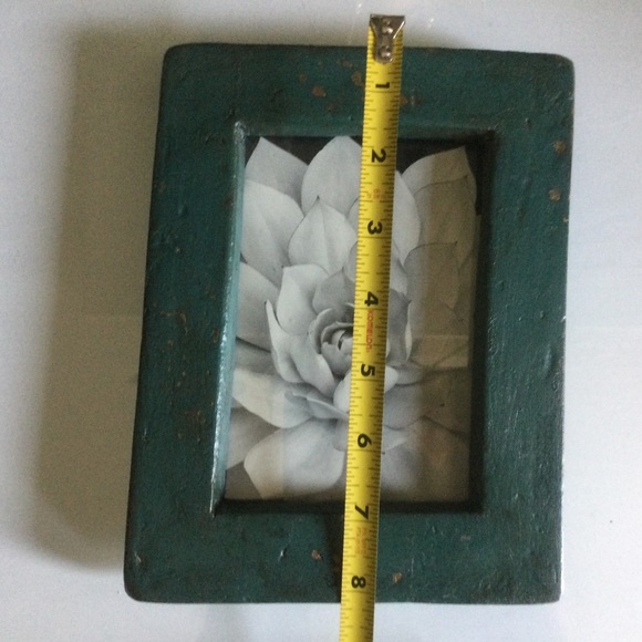 Rustic Green Frame With Black & White Succulent Print - Picture 3 of 5